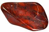 Polished Stromatolite (Collenia) - Minnesota #104420-1